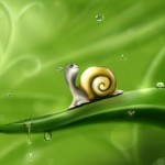 snail-83672_1280